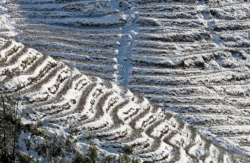 Ngắm tuyết trên những thửa ruộng bậc thang ở “nóc nhà Đông Dương“ ảnh 11