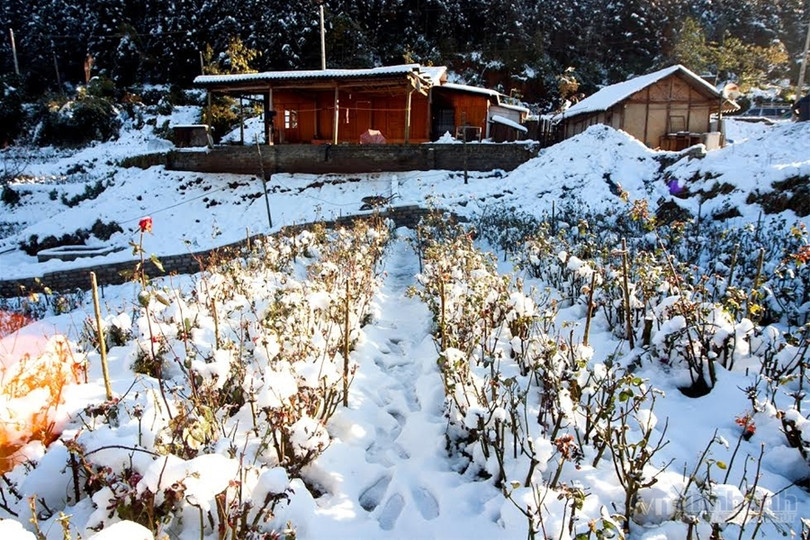 Ngắm tuyết trên những thửa ruộng bậc thang ở “nóc nhà Đông Dương“ ảnh 1