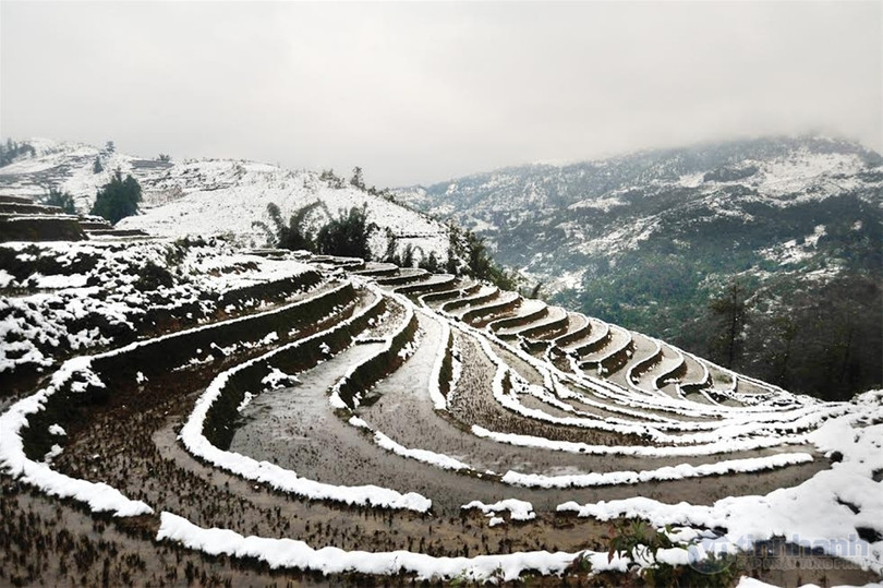 Ngắm tuyết trên những thửa ruộng bậc thang ở “nóc nhà Đông Dương“ ảnh 6