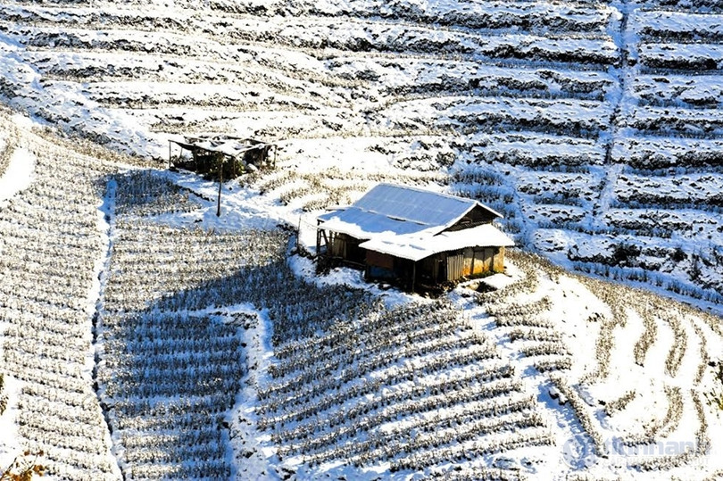 Ngắm tuyết trên những thửa ruộng bậc thang ở “nóc nhà Đông Dương“ ảnh 13