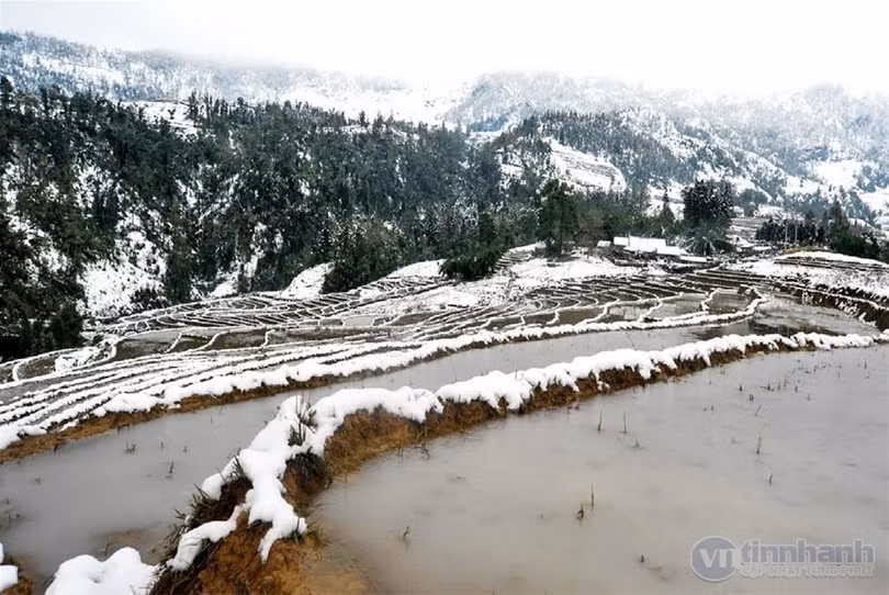 Ngắm tuyết trên những thửa ruộng bậc thang ở “nóc nhà Đông Dương“ ảnh 10