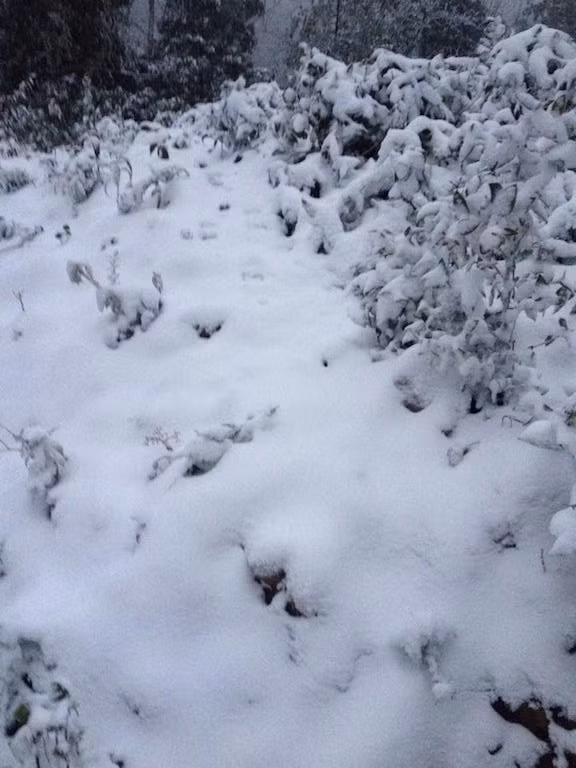 -8 độ C, tuyết phủ trắng miền Tây xứ Nghệ ảnh 3