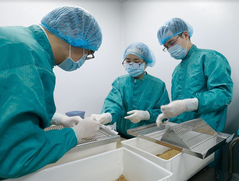 Cán bộ nghiên cứu vaccine phòng COVID-19 trên chuột trong phòng thí nghiệm (Ảnh: VABIOTECH) Cán bộ nghiên cứu vaccine phòng COVID-19 trên chuột trong phòng thí nghiệm (Ảnh: VABIOTECH)