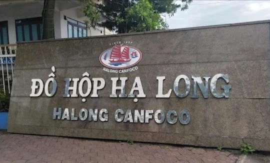 Ai đang nắm cổ phần Đồ hộp Hạ Long - công ty liên quan vụ 120 tấn thịt heo bệnh?