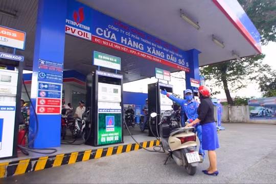 Doanh nghiệp có hơn 900 cửa hàng xăng dầu tăng lãi sau kiểm toán