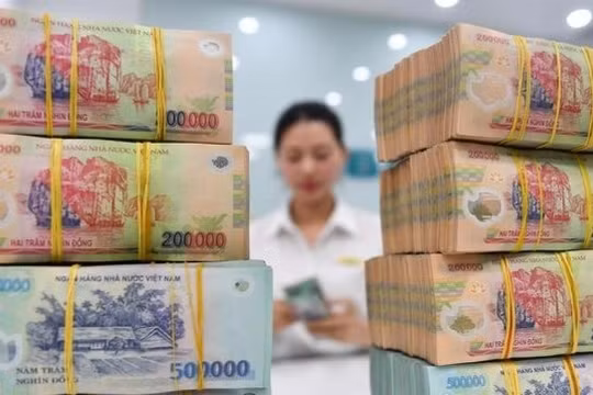 Loạt doanh nghiệp chốt quyền trả cổ tức tuần đầu tháng 3, tỷ lệ cao nhất 100%