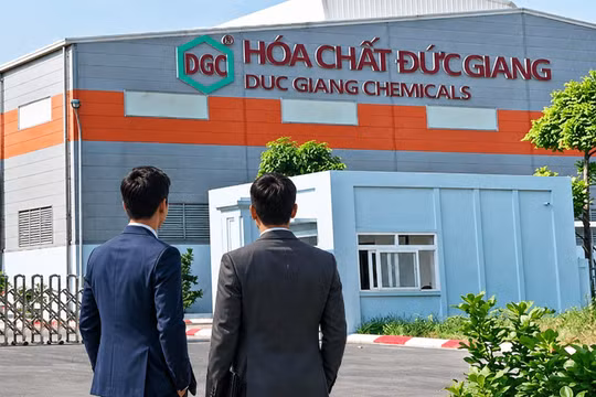 2 ứng viên được đề cử vào HĐQT Hóa chất Đức Giang: Đều là 8X, nắm nhiều vị trí chủ chốt