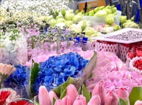 Khám phá chợ hoa lớn nhất Hà Nội dịp giáp Tết