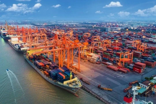 Vì sao doanh nghiệp cảng biển "thắng lớn" trong năm 2025?