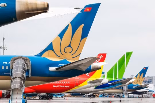Cục hàng không họp khẩn với ACV, Vietnam Airlines, Vietjet, Bamboo Airways 