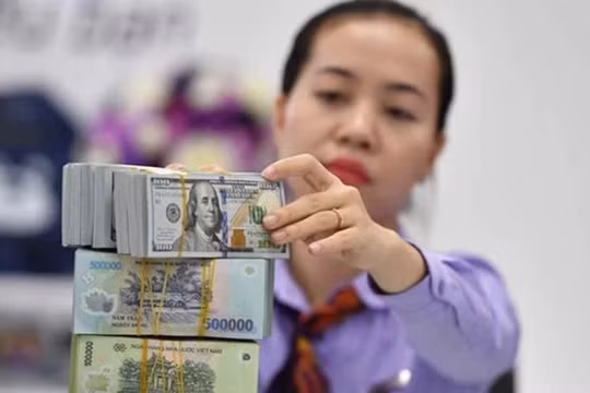 Lịch chốt quyền cổ tức tuần tới: Cổ đông Giấy Việt Trì, Cát Lợi, Biwase đếm tiền mỏi tay