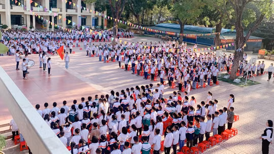 Cơ cấu, số lượng, chế độ đối với hiệu trưởng, hiệu phó khi sắp xếp lại cơ sở giáo dục