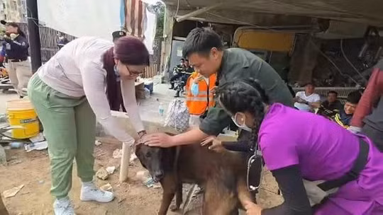 "Chiến sĩ" Max và King, sau một tuần cùng Đội cứu nạn cứu hộ Bộ Công an Việt Nam tại Venezuela