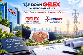 Gelex trúng hàng loạt gói thầu của Tổng Công ty truyền tải điện quốc gia