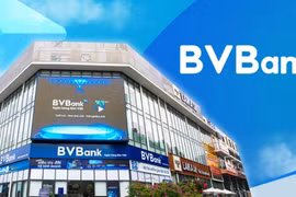 BVBank kinh doanh ra sao khi tham gia thị trường kinh doanh vàng miếng?