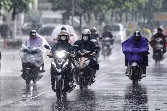 Dự báo thời tiết sáng 11/7: Hà Nội nhiều mây có mưa, nhiệt độ thấp nhất từ 27 - 29 độ C