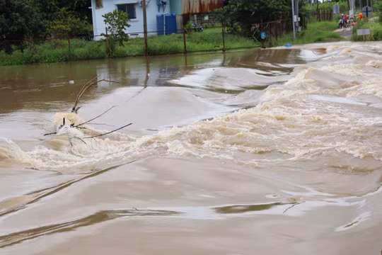 Báo động nguy cơ lũ quét, sạt lở đất nghiêm trọng do mưa lũ tại Lâm Đồng và Đồng Nai