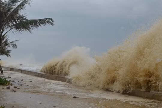 Áp thấp nhiệt đới có thể mạnh lên thành bão, đề nghị các tỉnh, thành phố sẵn sàng ứng phó