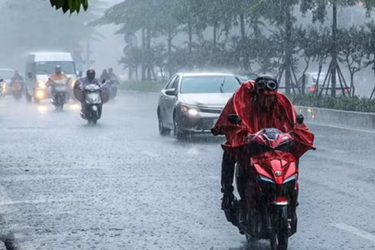 Dự báo thời tiết sáng 12/7: Bắc Bộ mưa rào và dông rải rác, nhiệt độ thấp nhất từ 24 - 27 độ C