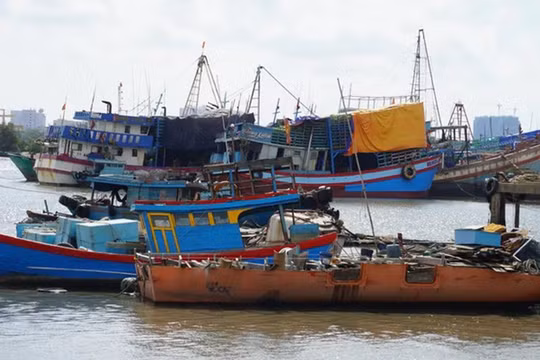 Siết chặt quản lý tàu thuyền, chủ động ứng phó áp thấp nhiệt đới diễn biến phức tạp