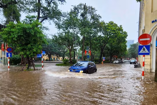 Công an Hà Nội khuyến cáo an toàn PCCC&CNCH khi mưa lớn, ngập lụt, cây đổ