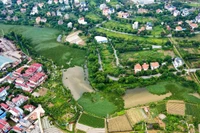 Quy định mới ngăn mua gom đất, chuyển mục đích bán kiếm lời