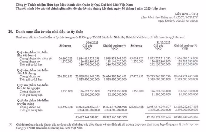 45.700 tỉ đồng ủy thác đầu tư của Dai-ichi Life Việt Nam tại một công ty quản lý quỹ ảnh 1