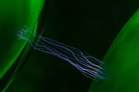 Ảnh minh họa: PM.