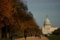 Người dân đi bộ dọc theo National Mall, nhìn về phía tòa nhà Quốc hội Mỹ tại Washington, D.C., ngày 2/11. Ảnh: Reuters.