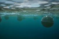 Iran tuyên bố sẽ rải thủy lôi khắp Vịnh Ba Tư nếu bị Mỹ tấn công trên bộ. Ảnh minh họa: Getty.