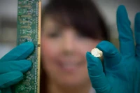 Các nhà khoa học tìm cách chiết xuất vàng từ rác điện tử. Ảnh: IE.