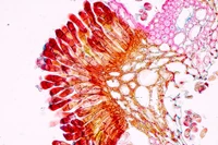 Ảnh minh họa: Getty.