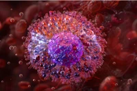 Một nhóm các nhà nghiên cứu Trung Quốc đã nạp thuốc chống ung thư vào các tế bào mast – loại tế bào gây ra các triệu chứng dị ứng khi tiếp xúc với các kháng nguyên như hải sản và phấn hoa – để đưa chúng vào khối u. Ảnh: Shutterstock.