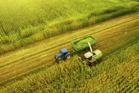 Ảnh minh họa: Getty.