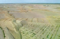 Trung Quốc đang cố gắng cải tạo sa mạc theo sáng kiến "Vạn lý trường thành xanh". Ảnh: IE.