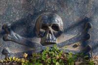 Ảnh minh họa: PM.