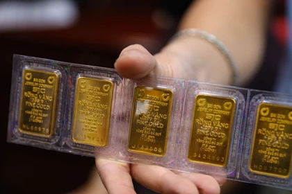 Giá vàng hôm nay.