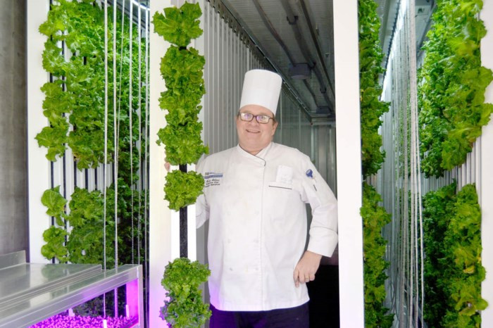 'Nông dân kiểu mới' có thể trồng được 4 tấn nông sản/năm mà không cần ánh sáng mặt trời - Ảnh 1