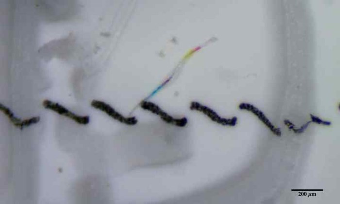 Phát hiện bất ngờ: Hầu hết nước đóng chai có chứa các hạt nhựa siêu nhỏ - Ảnh 2