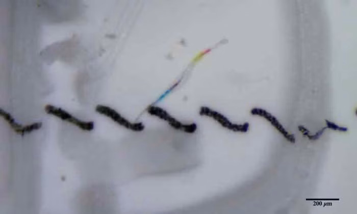 Phát hiện bất ngờ: Hầu hết nước đóng chai có chứa các hạt nhựa siêu nhỏ - Ảnh 2