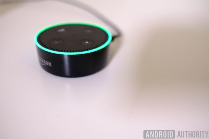 Amazon đang sửa lỗi trợ lý Alexa 'cười sảng' khiến người dùng khiếp sợ - Ảnh 1
