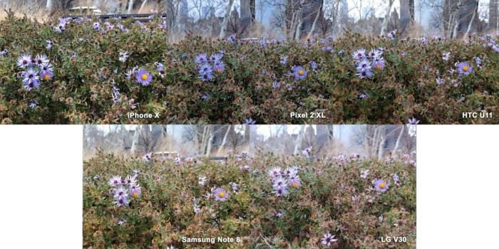 Đâu là smartphone có camera tốt nhất năm 2017 - Ảnh 11