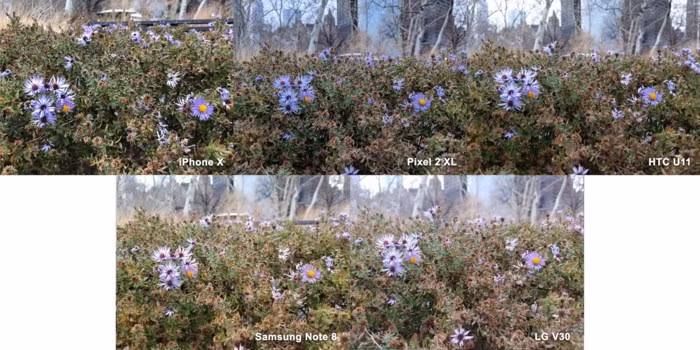 Đâu là smartphone có camera tốt nhất năm 2017 - Ảnh 11