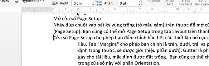 Cách sử dụng 'cây thước' (ruler) trong Word - Ảnh 11