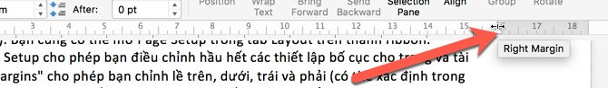 Cách sử dụng 'cây thước' (ruler) trong Word - Ảnh 7