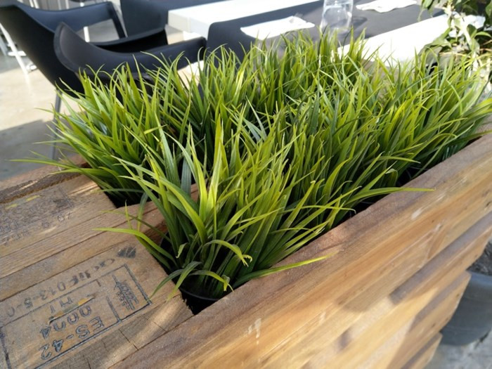 Những bức ảnh đầu tiên được chụp bằng camera của Nokia 7 Plus - Ảnh 6