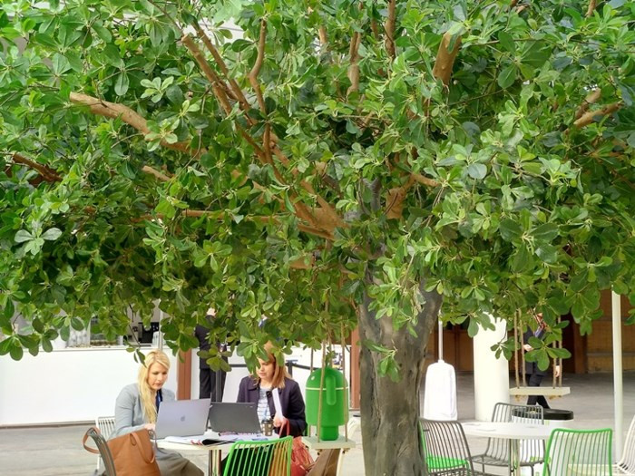 Những bức ảnh đầu tiên được chụp bằng camera của Nokia 7 Plus - Ảnh 7