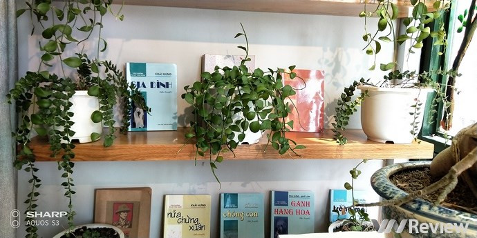 Cận cảnh Sharp Aquos S3 đầu tiên tại Việt Nam: màn tai thỏ 6 inch, Snapdragon 630, giá dự kiến 11 triệu đồng - Ảnh 16