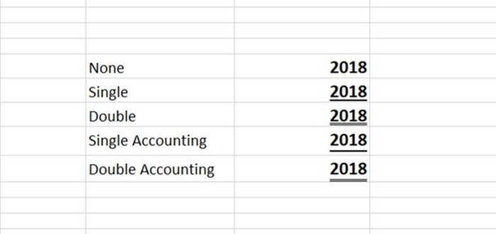 Cách sử dụng các kiểu gạch chân chữ bị ẩn trên Excel - Ảnh 1