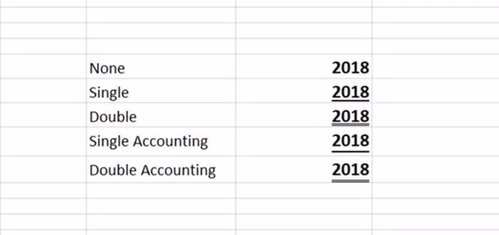 Cách sử dụng các kiểu gạch chân chữ bị ẩn trên Excel - Ảnh 1